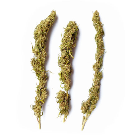 Köp Kompolti buds online