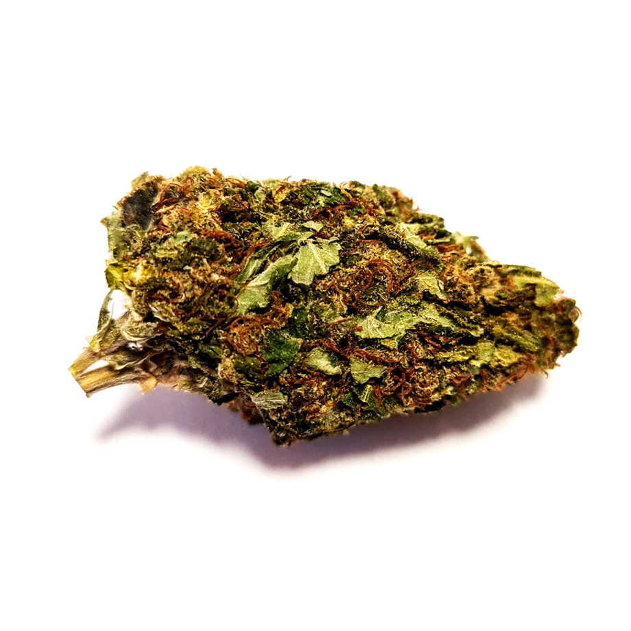 Girl_Scout_Cookies_1