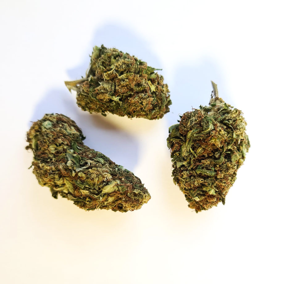 Girl_Scout_Cookies_2
