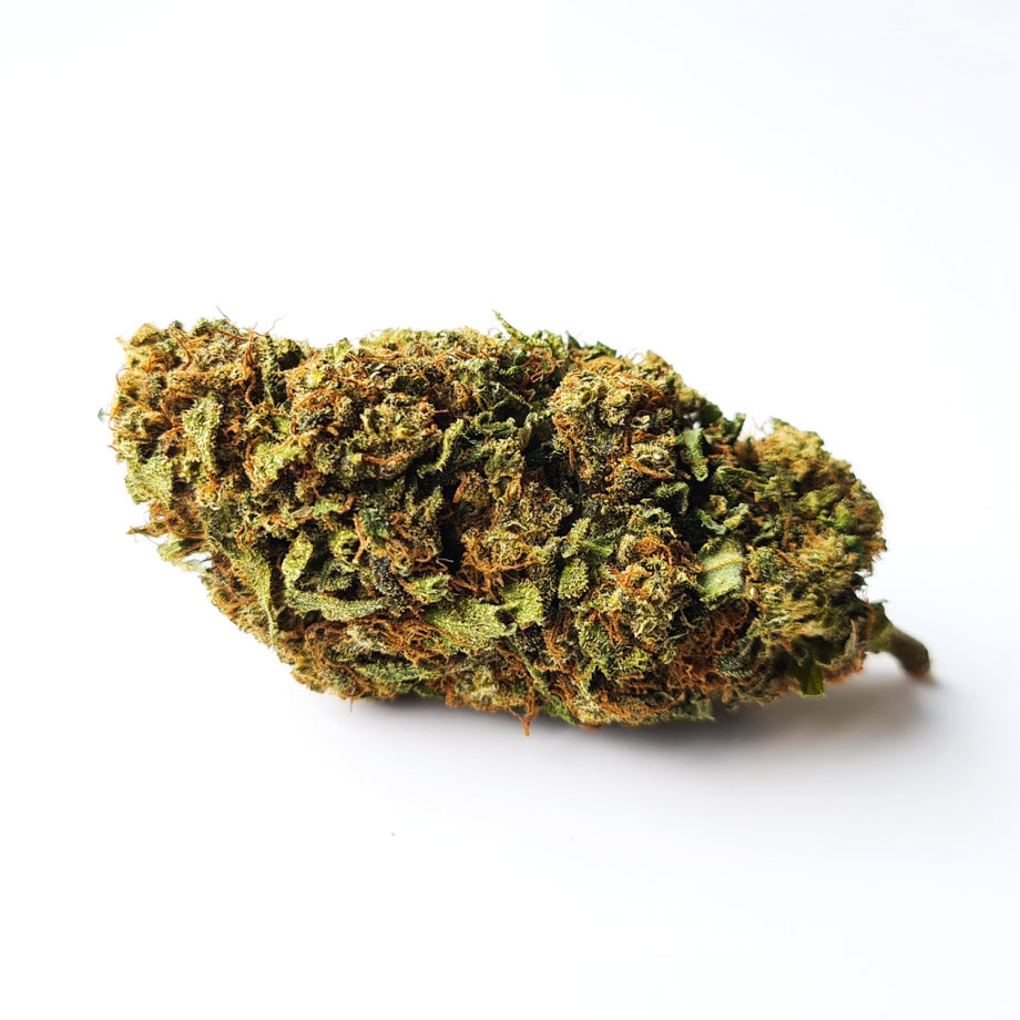 mango_kush_1