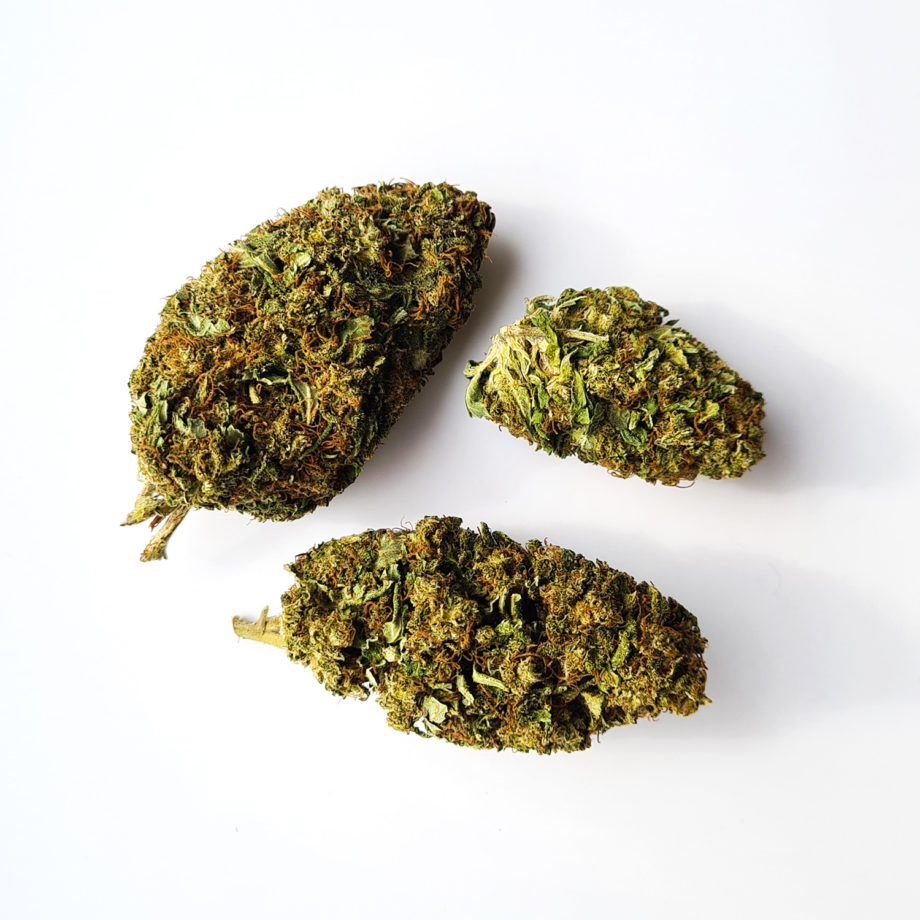 mango_kush_2